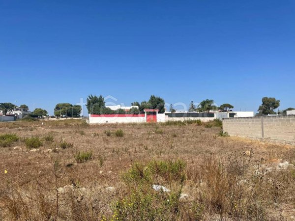 terreno agricolo in vendita a Porto Cesareo