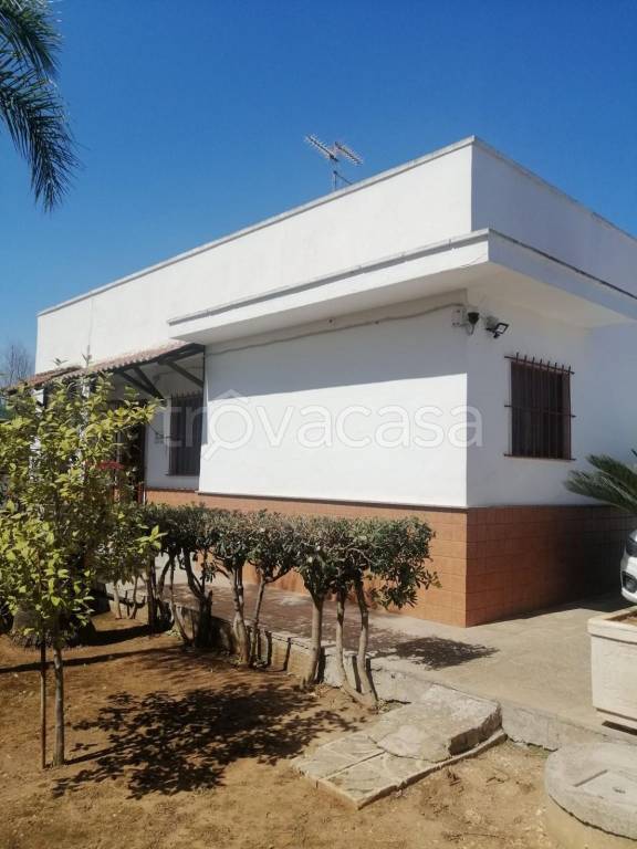 casa indipendente in vendita a Porto Cesareo