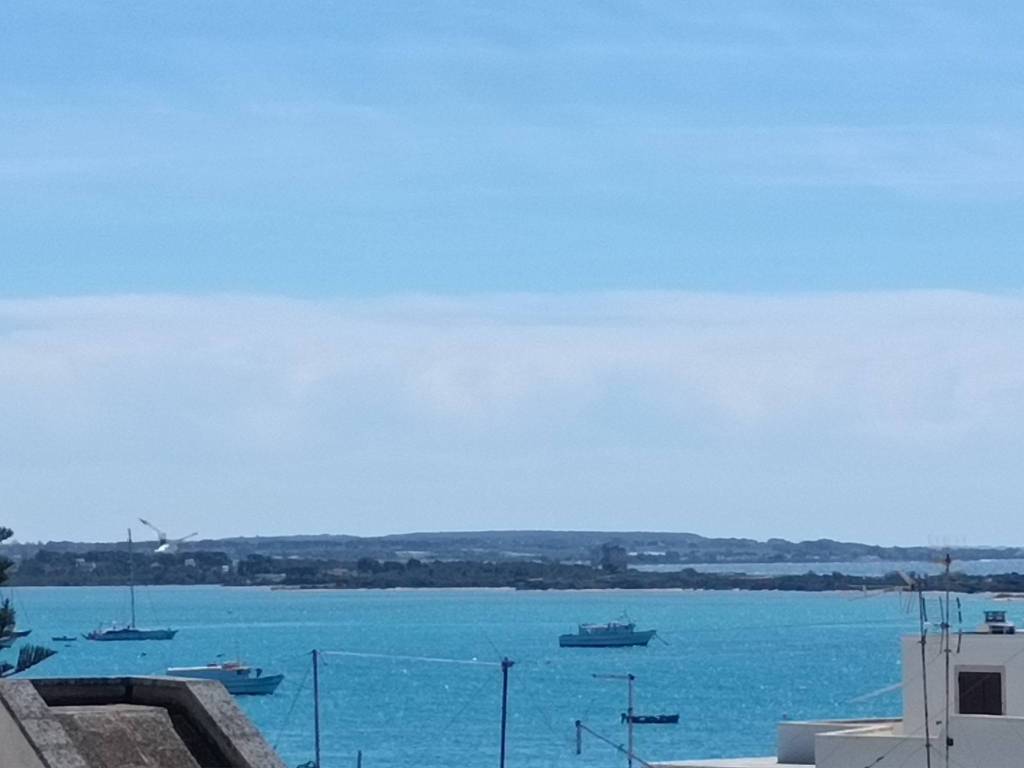 appartamento in vendita a Porto Cesareo
