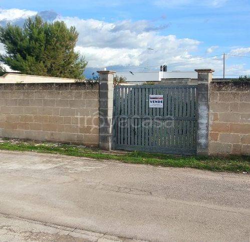 terreno agricolo in vendita a Porto Cesareo in zona Torre Lapillo
