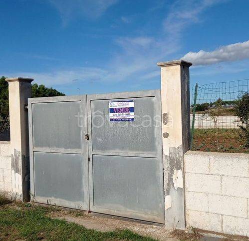 terreno agricolo in vendita a Porto Cesareo