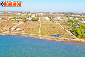 negozio in vendita a Porto Cesareo