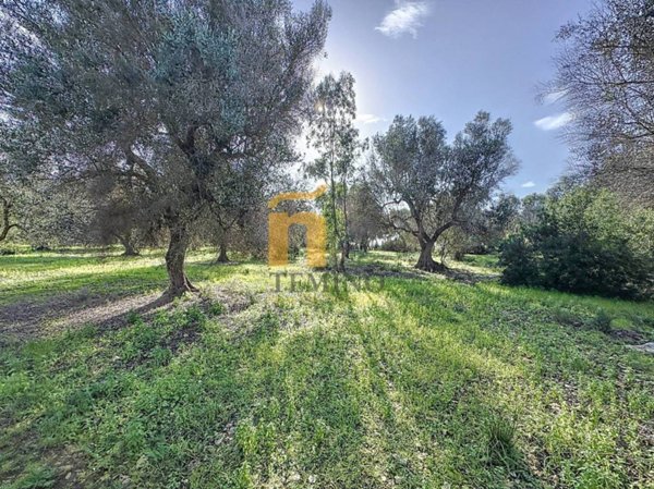 terreno agricolo in vendita a Porto Cesareo