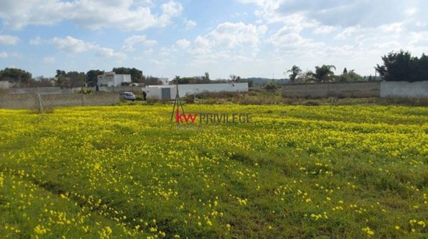 terreno agricolo in vendita a Porto Cesareo