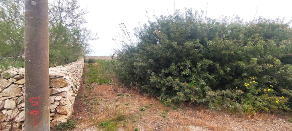 terreno agricolo in vendita a Porto Cesareo