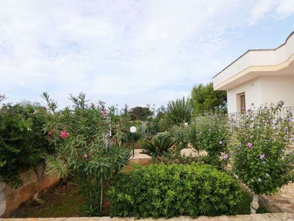 casa indipendente in vendita a Porto Cesareo in zona Torre Lapillo