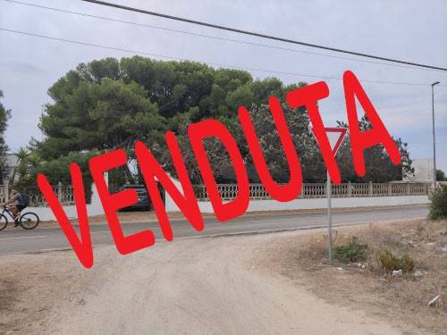 casa indipendente in vendita a Porto Cesareo