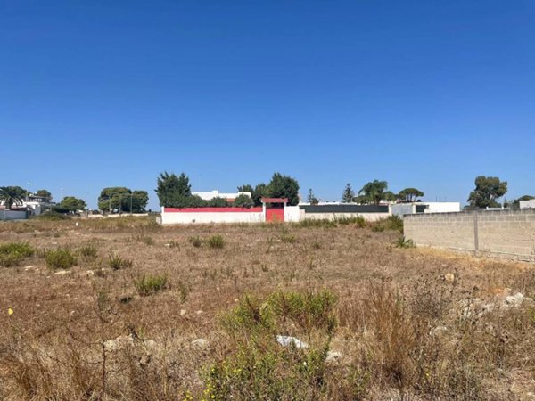 terreno agricolo in vendita a Porto Cesareo