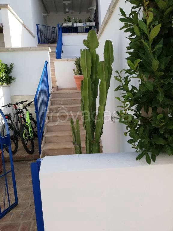 appartamento in vendita a Porto Cesareo in zona Torre Lapillo