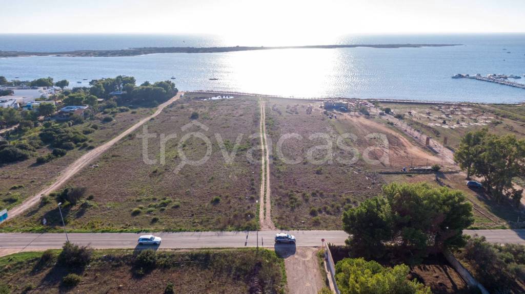 terreno agricolo in vendita a Porto Cesareo