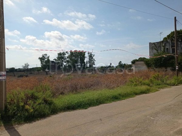 terreno agricolo in vendita a Porto Cesareo