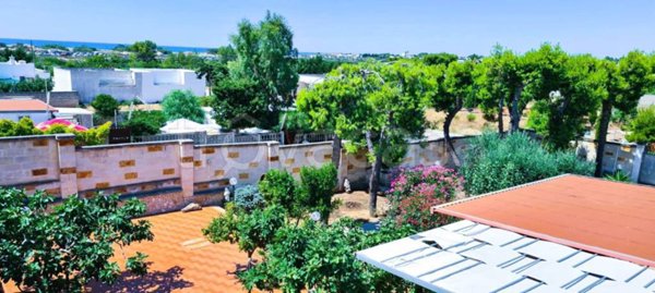 casa indipendente in vendita a Porto Cesareo in zona Torre Lapillo