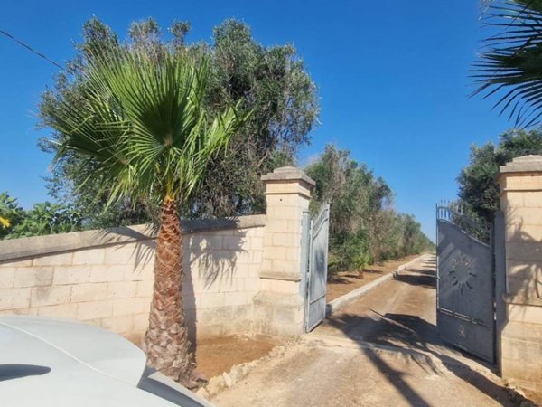 casa indipendente in vendita a Porto Cesareo