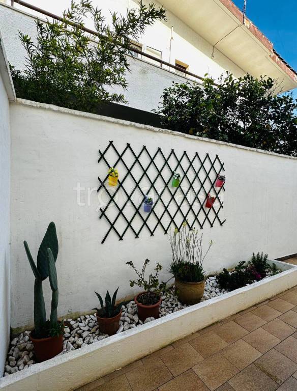 appartamento in vendita a Porto Cesareo in zona Torre Lapillo