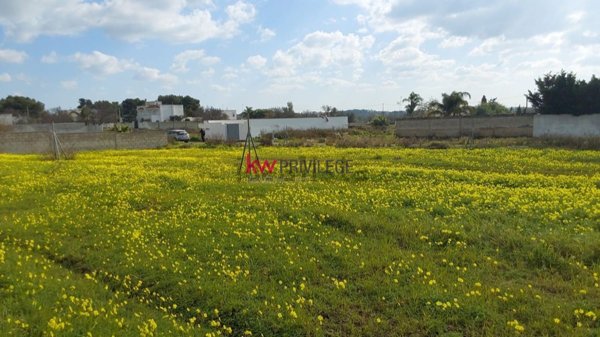 terreno edificabile in vendita a Porto Cesareo