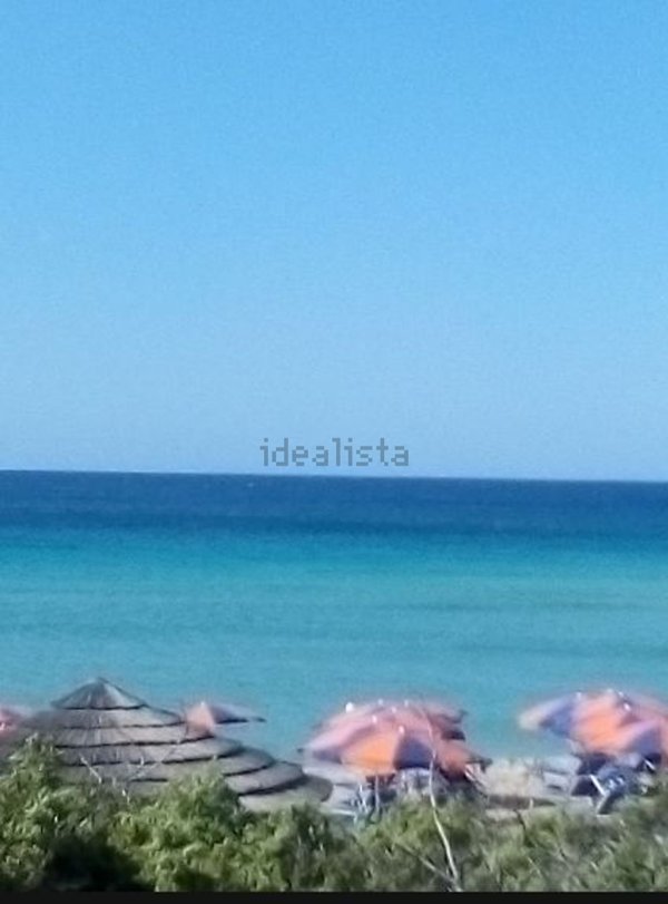 terreno agricolo in vendita a Porto Cesareo in zona Torre Lapillo