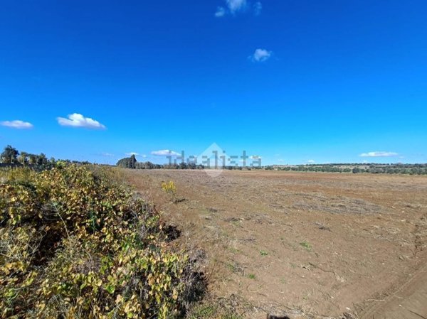 terreno agricolo in vendita a Porto Cesareo in zona Torre Lapillo