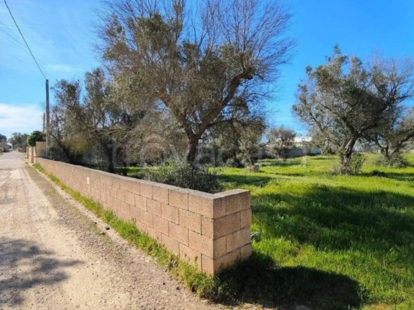 terreno agricolo in vendita a Porto Cesareo