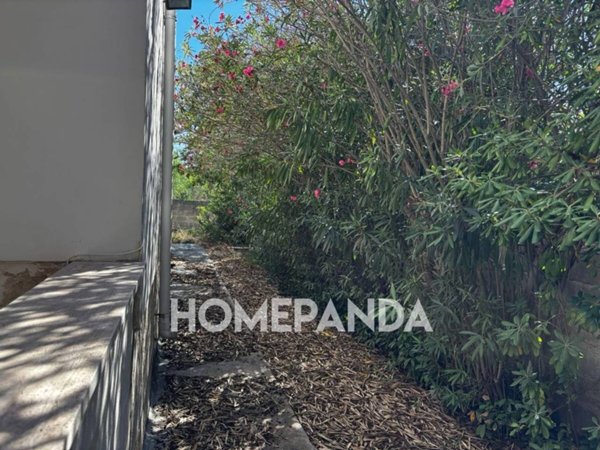 casa indipendente in vendita a Porto Cesareo