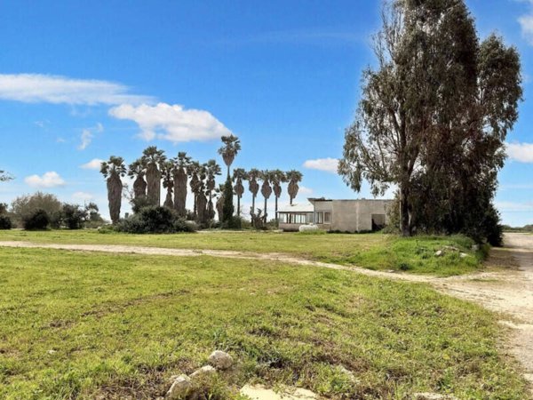 terreno agricolo in vendita a Porto Cesareo