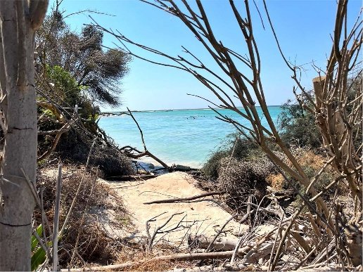 casa indipendente in vendita a Porto Cesareo in zona Torre Lapillo