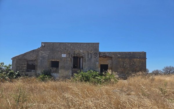 pentavano in vendita a Porto Cesareo