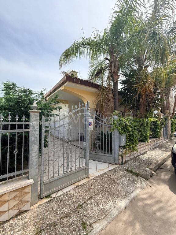 casa indipendente in vendita a Porto Cesareo