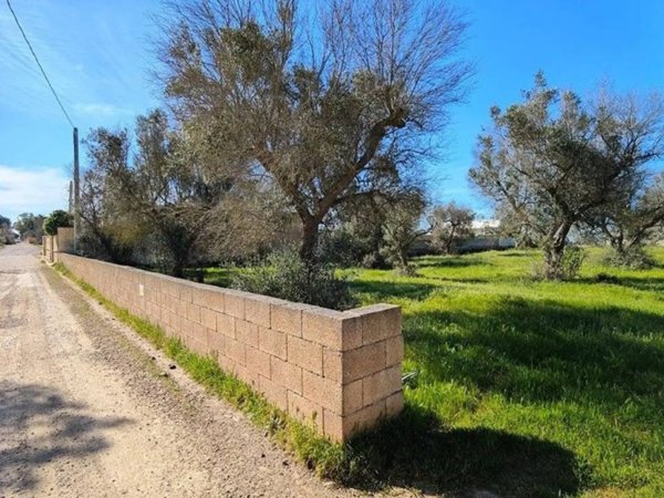 terreno agricolo in vendita a Porto Cesareo