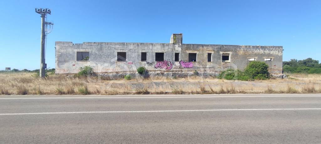 terreno agricolo in vendita a Porto Cesareo