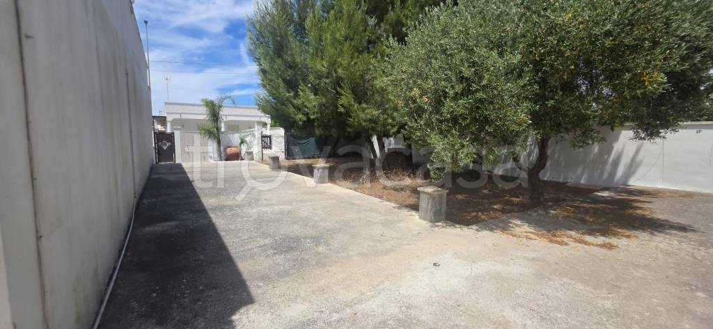 casa indipendente in vendita a Porto Cesareo in zona Torre Lapillo