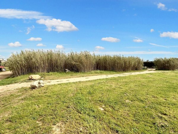 terreno in vendita a Porto Cesareo