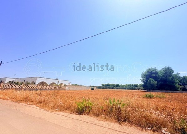 terreno in vendita a Porto Cesareo