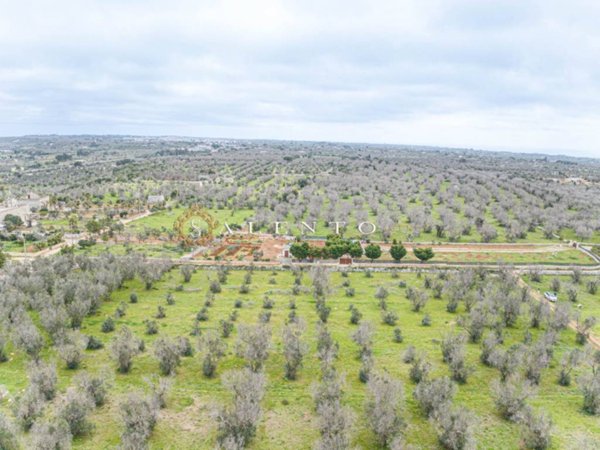 terreno agricolo in vendita a Presicce-Acquarica