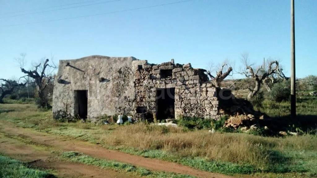 terreno agricolo in vendita a Presicce-Acquarica