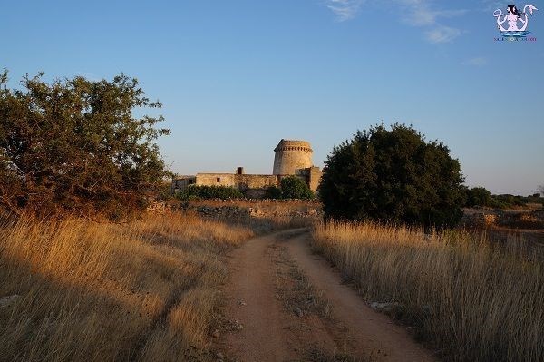 casa indipendente in vendita a Presicce-Acquarica in zona Presicce