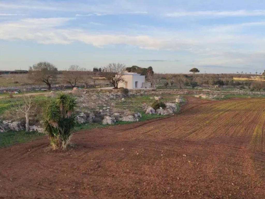 appartamento in vendita a Presicce-Acquarica