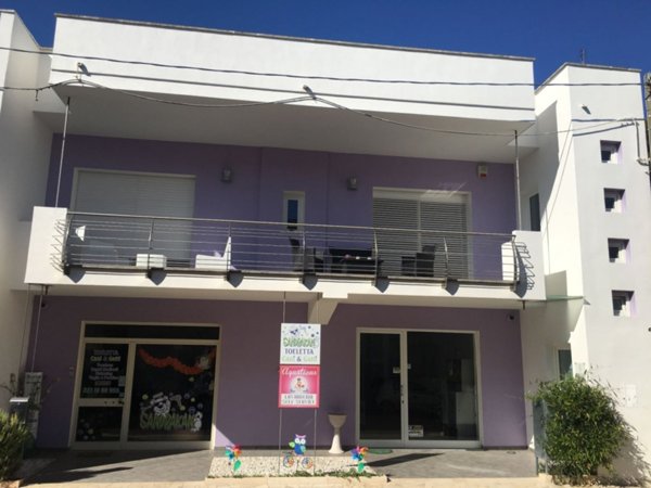 appartamento in vendita a Presicce-Acquarica in zona Presicce