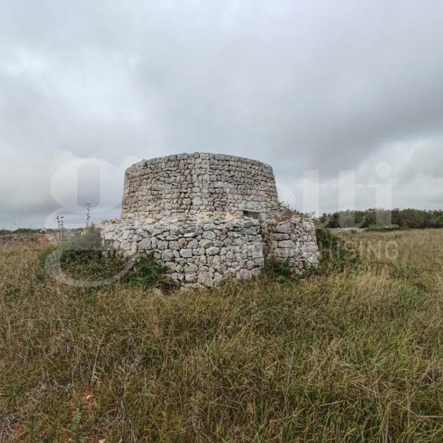 terreno agricolo in vendita a Presicce-Acquarica