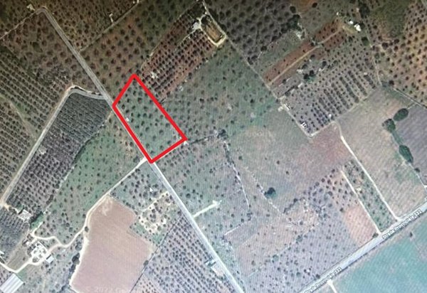 casa indipendente in vendita a Presicce-Acquarica