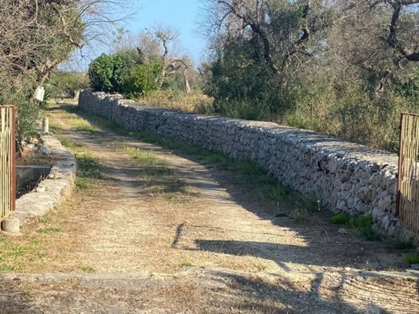 terreno agricolo in vendita a Presicce-Acquarica