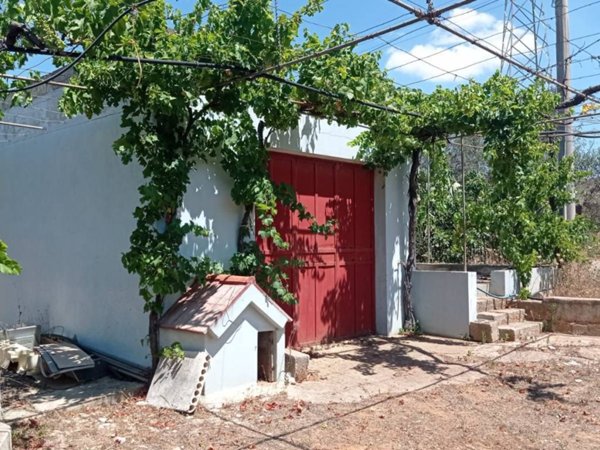 terreno agricolo in vendita a Presicce-Acquarica in zona Presicce