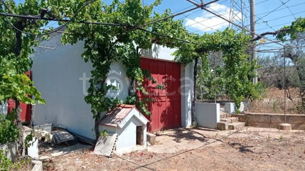 terreno agricolo in vendita a Presicce-Acquarica in zona Acquarica del Capo