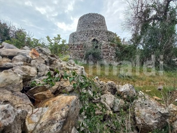 terreno agricolo in vendita a Presicce-Acquarica in zona Presicce