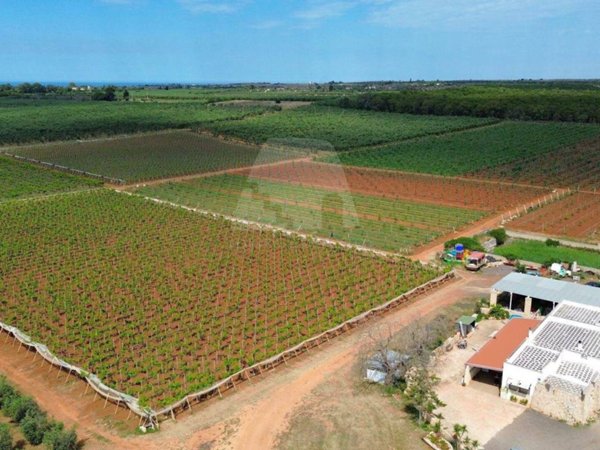 casa indipendente in vendita a Presicce-Acquarica in zona Presicce