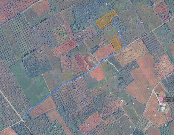 terreno agricolo in vendita a Presicce-Acquarica in zona Presicce