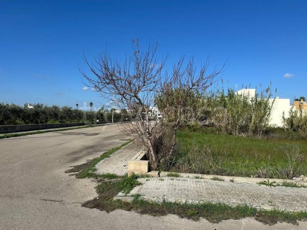terreno agricolo in vendita a Presicce-Acquarica