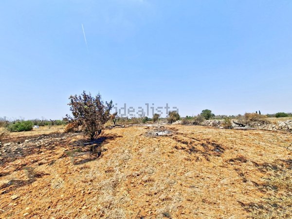 terreno agricolo in vendita a Presicce-Acquarica in zona Presicce