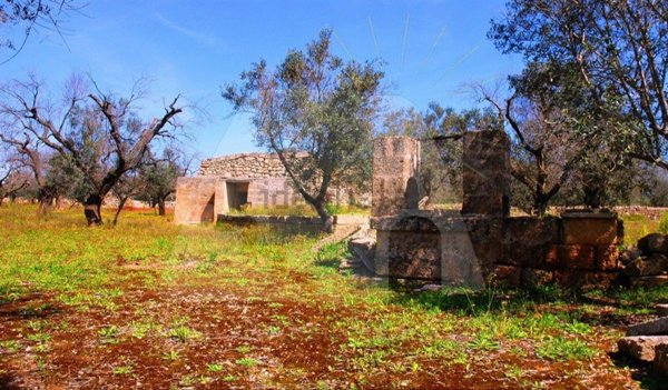terreno agricolo in vendita a Presicce-Acquarica
