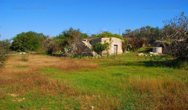 casa indipendente in vendita a Presicce-Acquarica in zona Presicce