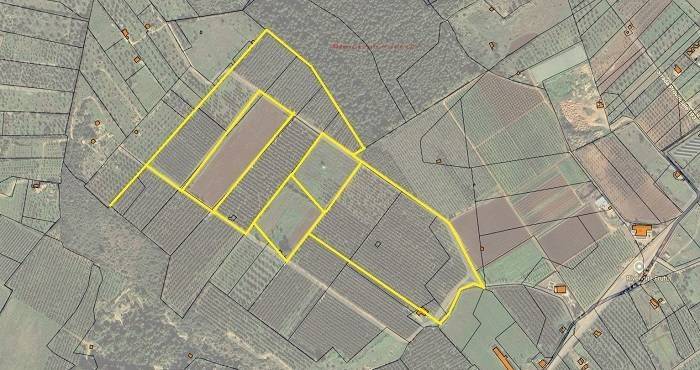 terreno agricolo in vendita a Presicce-Acquarica